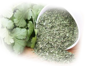 21-DRIED-CORIANDER-LEAVES-CRUSHED-300x225-white