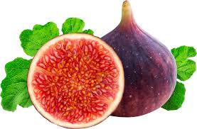 Figs Figs