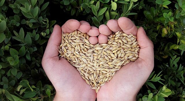 grains